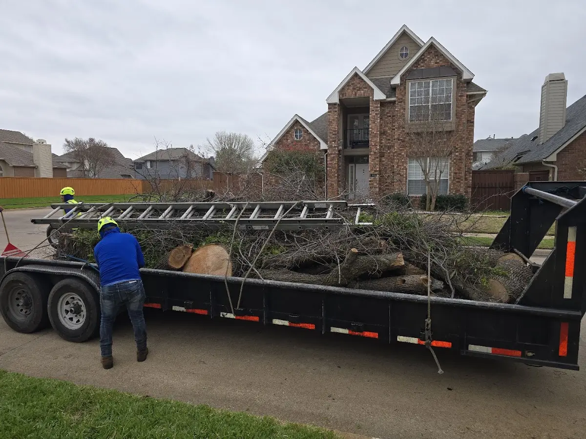 Expert Tree Pest Control with proper safety equipment in Southworth